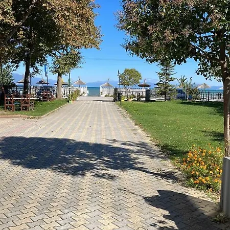 Tirona Tushemisht